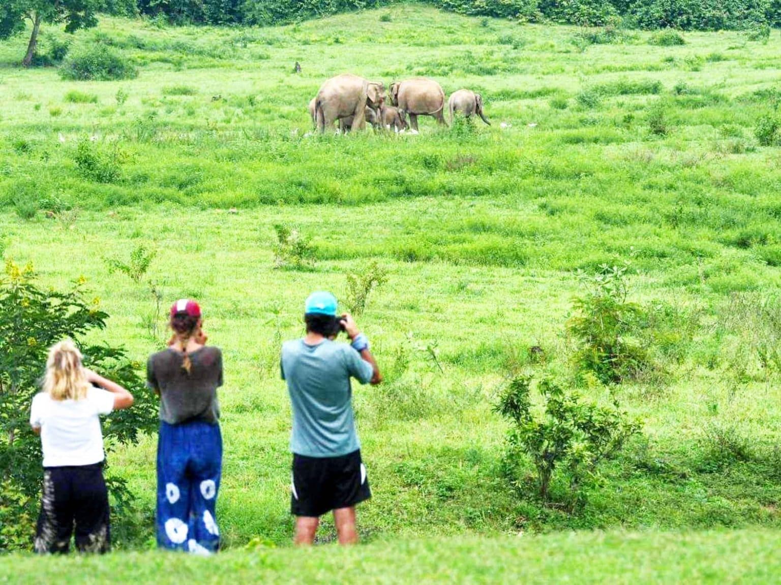 Kui Buri National Park